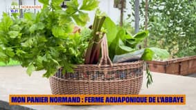 Mon Panier Normand : Ferme aquaponique de l'Abbaye