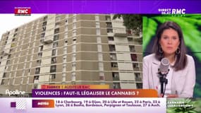 Violences : Faut-il légaliser le Cannabis ? Un auditeur policier prend la parole.