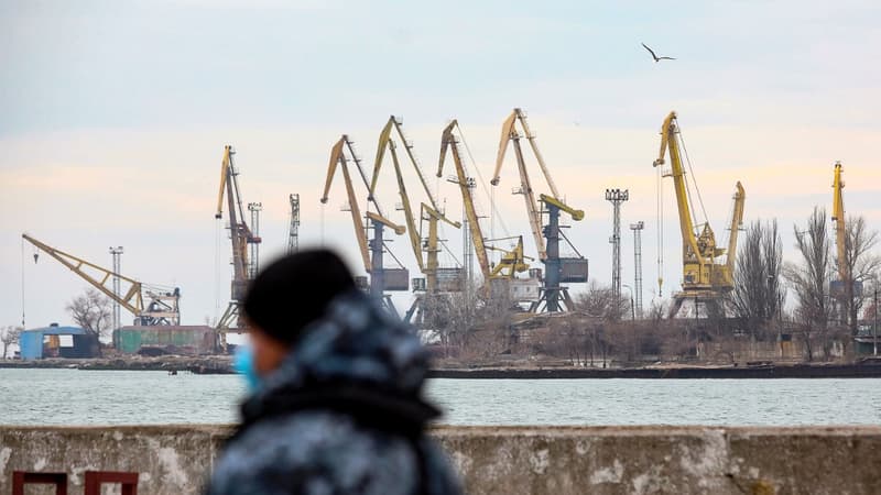 Ukraine: arrivée d'un premier cargo pour charger des céréales à Tchernomorsk