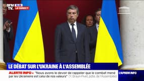 Standing ovation de tous les députés pour l'ambassadeur de l'Ukraine en France