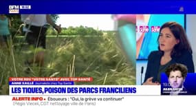 Votre Santé Paris: Les tiques, poisons des parcs franciliens - 27/05