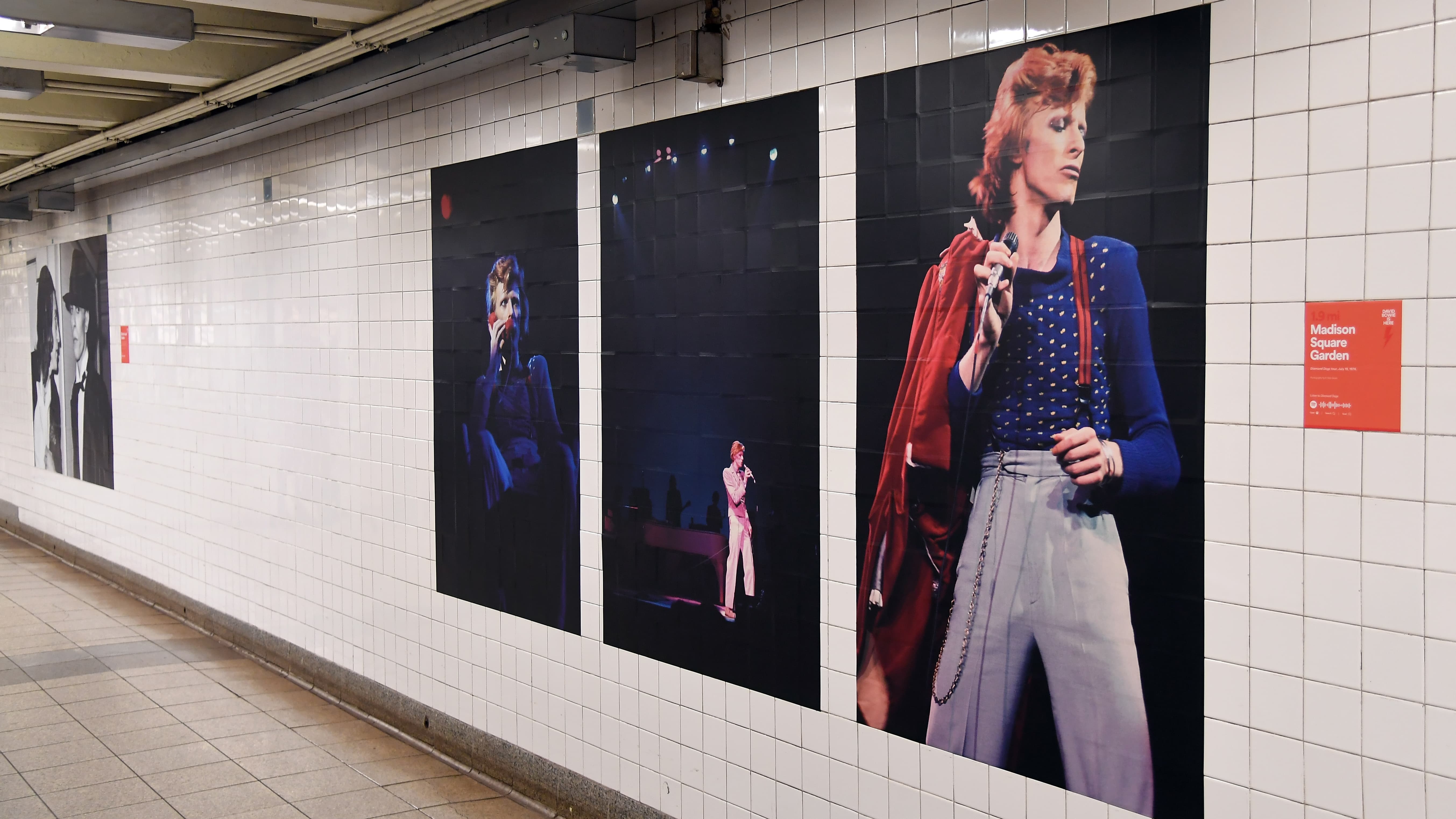 Expo David Bowie