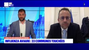 Influenza Aviaire: les mesures prises par la préfecture du Pas-de-Calais pourront être prolongées