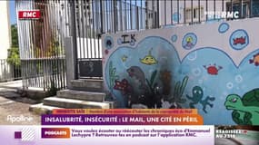Insalubrité, insécurité : le Mail, une cité en péril 