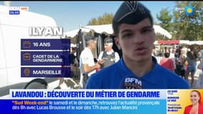 Le Lavandou: des jeunes du service national universel découvrent le métier de gendarme