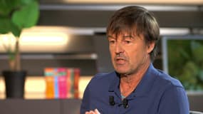 Nicolas Hulot estime que l'on a "échoué" face au changement climatique