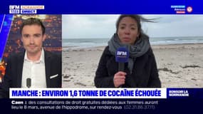 Manche: au moins 1,5 tonne de cocaïne découverte sur une plage