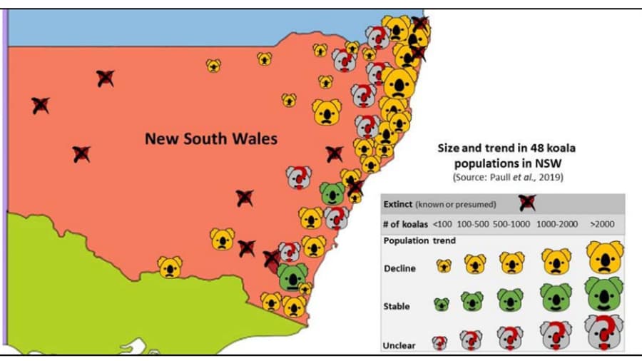 Carte montrant l'emplacement et le nombre approximatif de 48 populations de koalas en Nouvelle-Galles du Sud Carte montrant l'emplacement et le nombre approximatif de 48 populations de koalas en Nouvelle-Galles du Sud