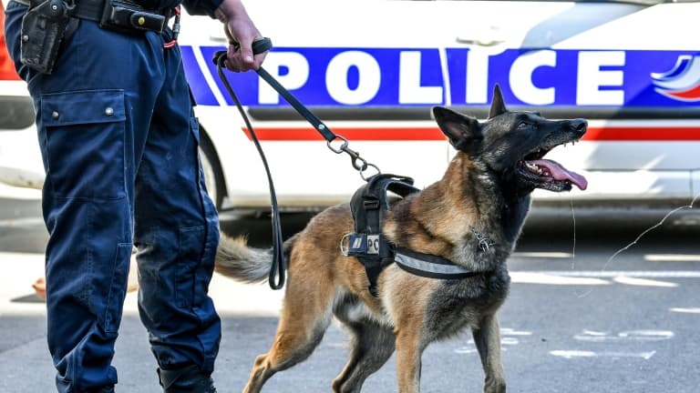 Un maître-chien de la police nationale et son chien (image d'illustration) (19Y36Z)