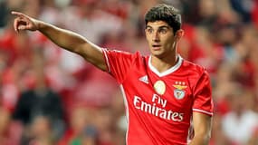 Gonçalo Guedes