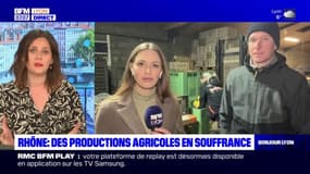 Rhône: des productions agricoles en souffrance