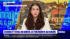 Seine-Maritime: TotalEnergies a demandé la mise à l'arrêt de la plus grande raffinerie de France à Gonfreville-L'orcher 