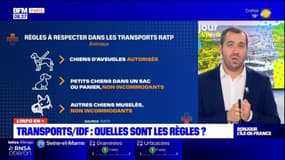 Transports en Ile-de-France: quelles sont les règles?