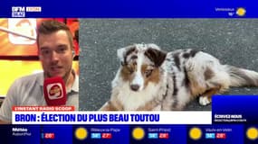 L'instant Radio Scoop: l'élection du plus beau toutou à Bron