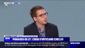 Punaises de lit: "Le gouvernement est responsable de n'avoir rien fait", pour Hadrien Clouet (LFI)
