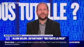 Famille Delon: "C'est une affaire absolument banale" selon maître Philippe Assor