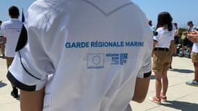 La garde régionale marine sera mise en place cet été dans la région Sud afin de sauvegarder l'environnement et les aires maritimes.
