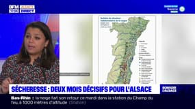 Alsace: la région toujours très touchée par la sécheresse