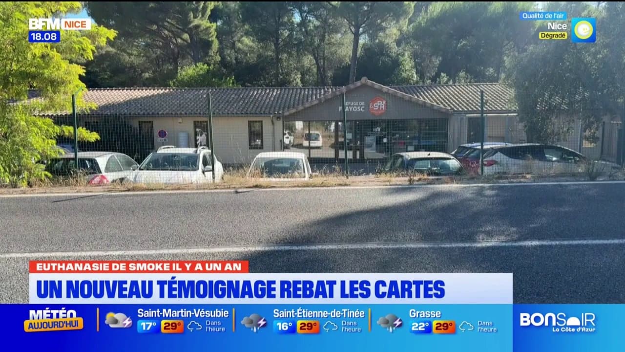 Euthanasie de Smoke il y a un an : un nouveau témoignage rebat les cartes