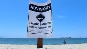 Un panneau avertissant de la présence de requins en Californie. (Photo d'illustration)