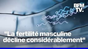 États-Unis: une startup organise une course de spermatozoïdes pour sensibiliser au déclin de la fertilité masculine 