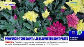 Marseille: Monique, fleuriste depuis 43 ans, prête pour la Toussaint