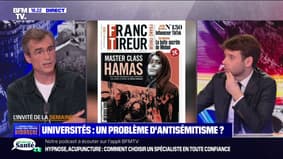 Raphaël Enthoven: Rima Hassan "est quelqu'un qui dit des choses extrêmement dangereuses"