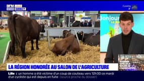 La région Hauts-de-France mise à l'honneur au Salon de l'agriculture