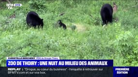 Au zoo de Thoiry, il est possible de passer la nuit au milieu des animaux