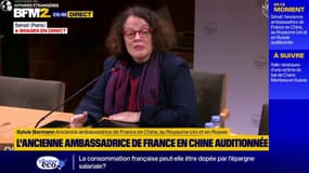 "Je crois qu'on s'est trompé": l'ancienne ambassadrice de France en Chine, au Royaume-Uni et en Russie, revient sur les relations entre l'Europe et les USA