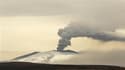 Selon les scientifiques, le volcan islandais Eyjafjöll, dont l'éruption a paralysé six jours durant les transports aériens européens, est toujours actif mais dégage moins de cendres. /Photo prise le 20 avril 2010/REUTERS/Lucas Jackson
