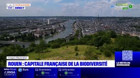 Rouen élue capitale française de la biodiversité