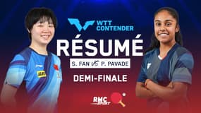 Résumé : Pavade, pour rejoindre Jia Nan en finale ? (WTT Contender Skopje)