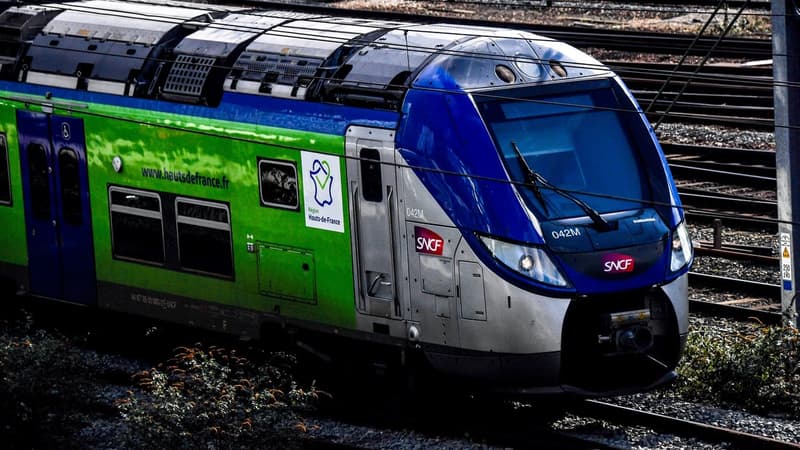 Après la grève qui a coûté un milliard, des surcoûts liés par exemple à la recherche d'un substitut pour le glyphosate pour désherber les voies et surtout, avec l'épidémie, l'effondrement du nombre de passagers et des mesures sanitaires coûteuses, les pertes pour la SNCF, sont évaluées à un peu plus de 4 milliards d'euros.