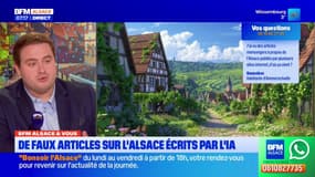 BFM Alsace et vous: de faux articles sur des villes de la région