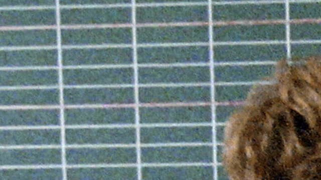 Les enseignants ont fait leur rentrée une journée avant celle des élèves (photo d'illustration)