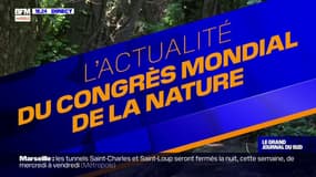 Congrès mondial de la nature de l'UICN: à Marseille, des solutions pour économiser l'eau