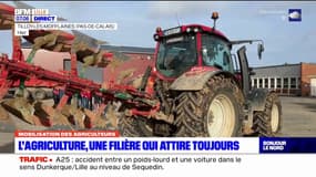 Hauts-de-France: l'agriculture, une filière qui attire toujours