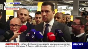Jordan Bardella: "Il faut faire en sorte que plus aucun visa ne soit délivré à un ressortissant algérien" 