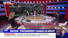Story 3 : Macron a-t-il convaincu les agriculteurs ? - 01/02
