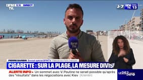 Interdiction des cigarettes sur la plage: que pensent les Français de cette mesure?