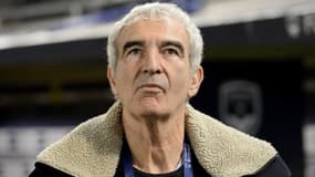 Raymond Domenech