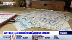 Antibes: dernières révisions pour le bac