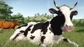 Extrait du jeu Farming Simulator 22