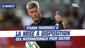 La Rochelle : O'Gara favorable à la mise à disposition des internationaux pour le XV de France
