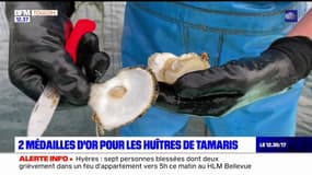 SIA: deux médailles d'or pour les huîtres de Tamaris