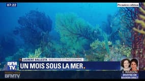 Ce plongeur explore depuis 18 jours les fonds de la Méditerranée à bord d'une capsule, il nous livre un premier bilan