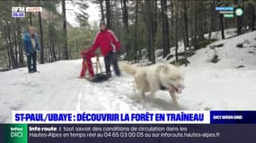 Alpes-de-Haute-Provence: découvrir la forêt en traîneau, un cadeau idéal
