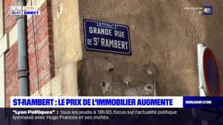 Saint-Rambert-l'Île Barbe: le prix de l'immobilier augmente dans le quartier lyonnais