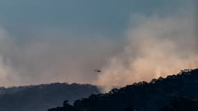 Un hélicoptère bombardier d'eau survole les feux de brousse qui se propagent rapidement dans les régions de Koolewong, Phegans Bay et Woy Woy Bay, le 6 décembre 2025 à Kurri Kurri, en Australie. 